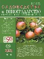 Титульный лист